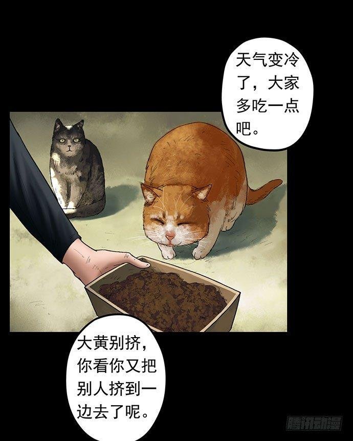 猫-1