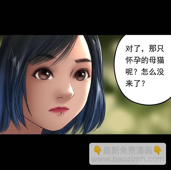 猫-1