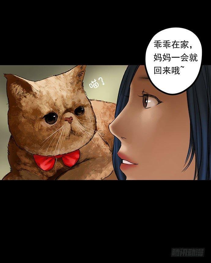 猫-1