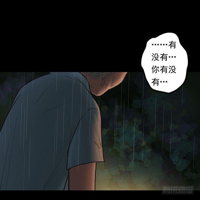 猫-1