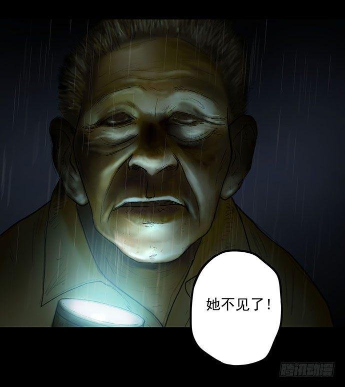 猫-1