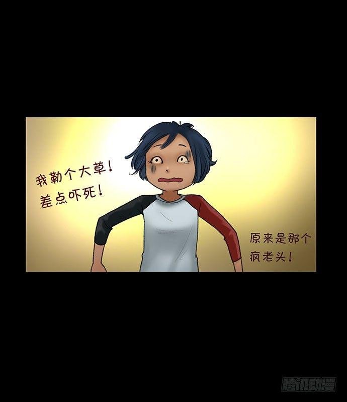 猫-1