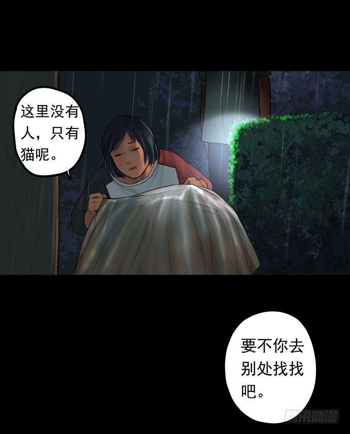 猫-1