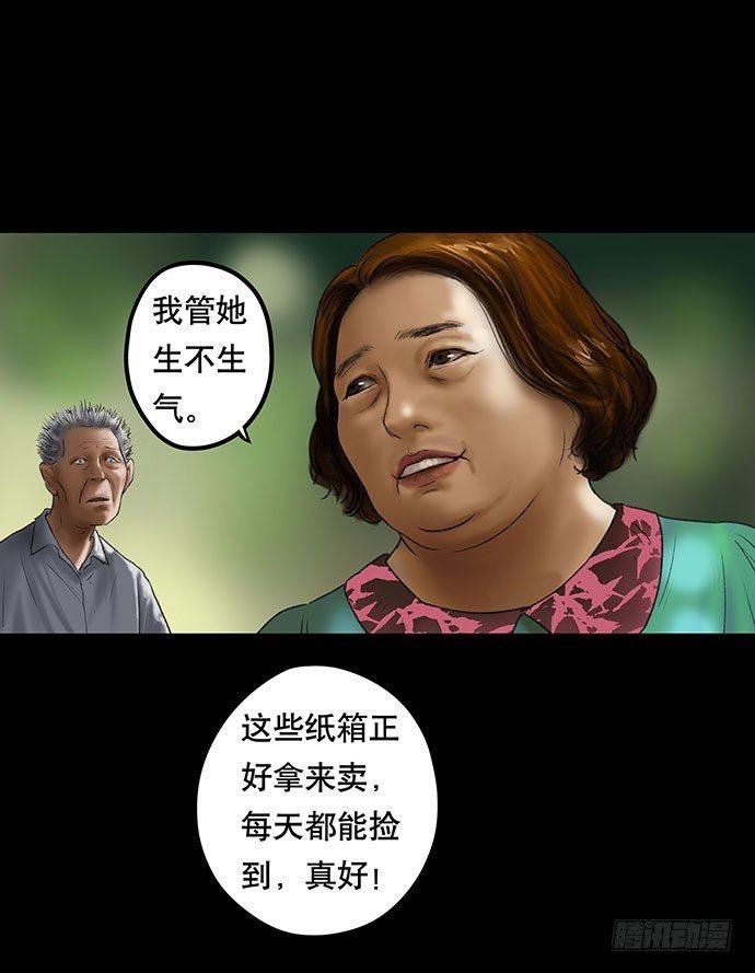 猫-2