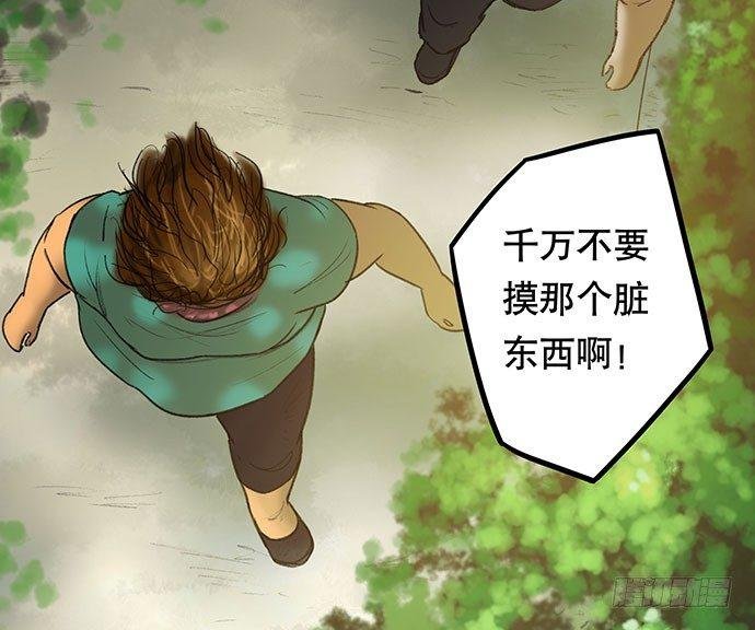猫-2