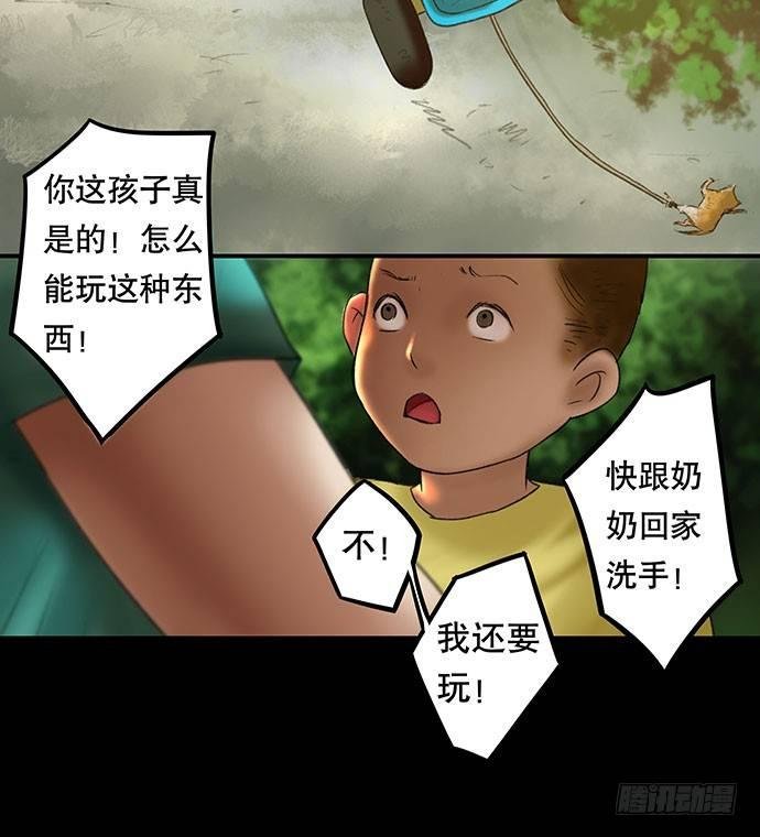 猫-2