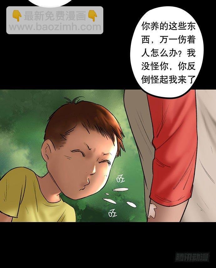 猫-2