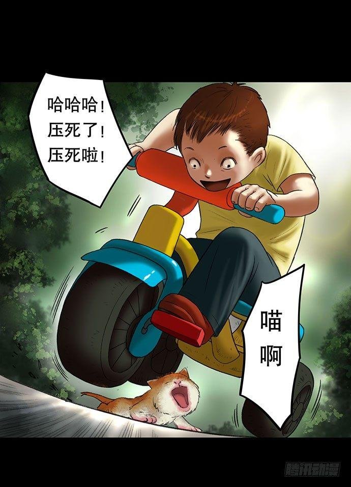猫-2
