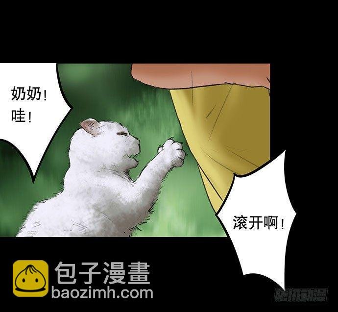 猫-2