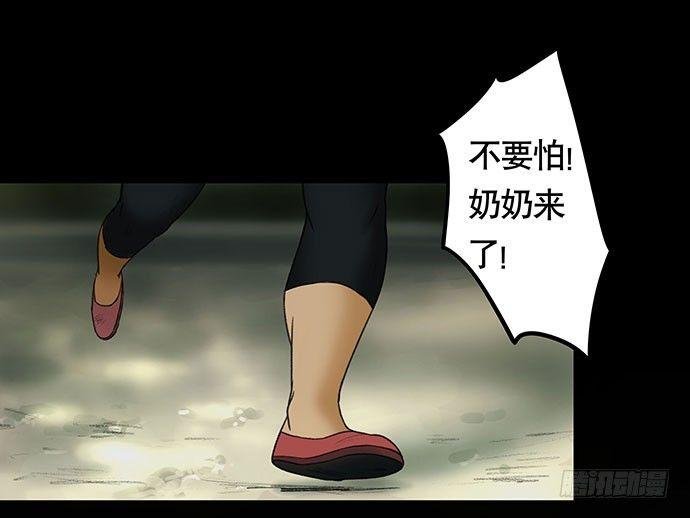 猫-2