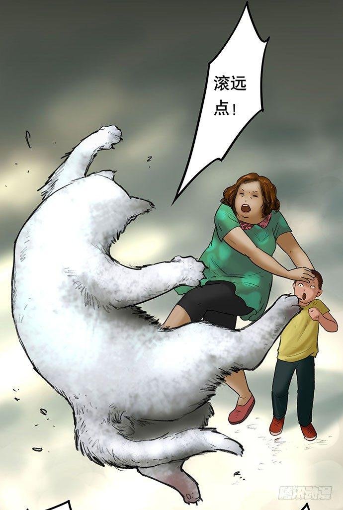 猫-2