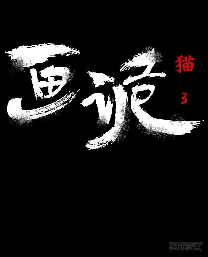 猫-3