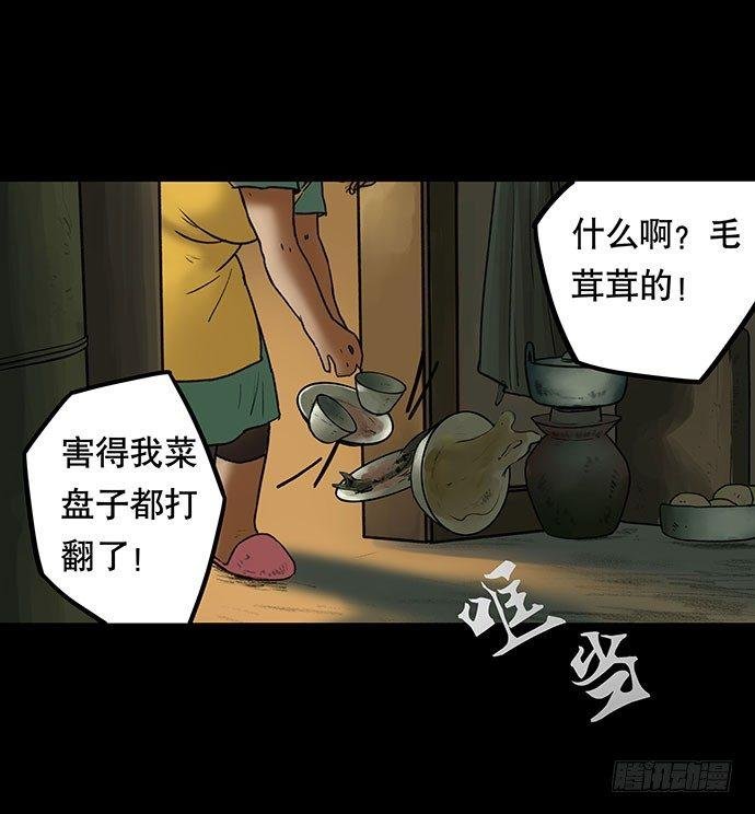 猫-3