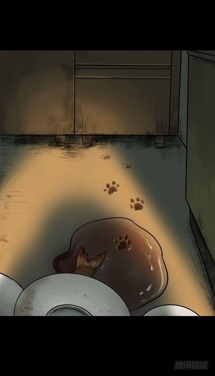猫-3