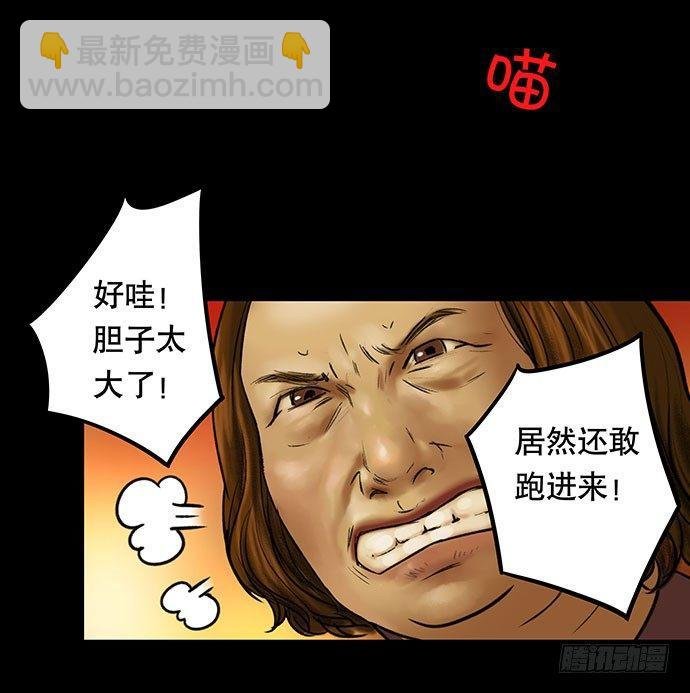 猫-3