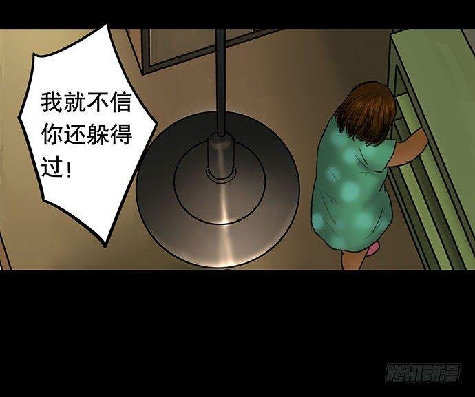 猫-3