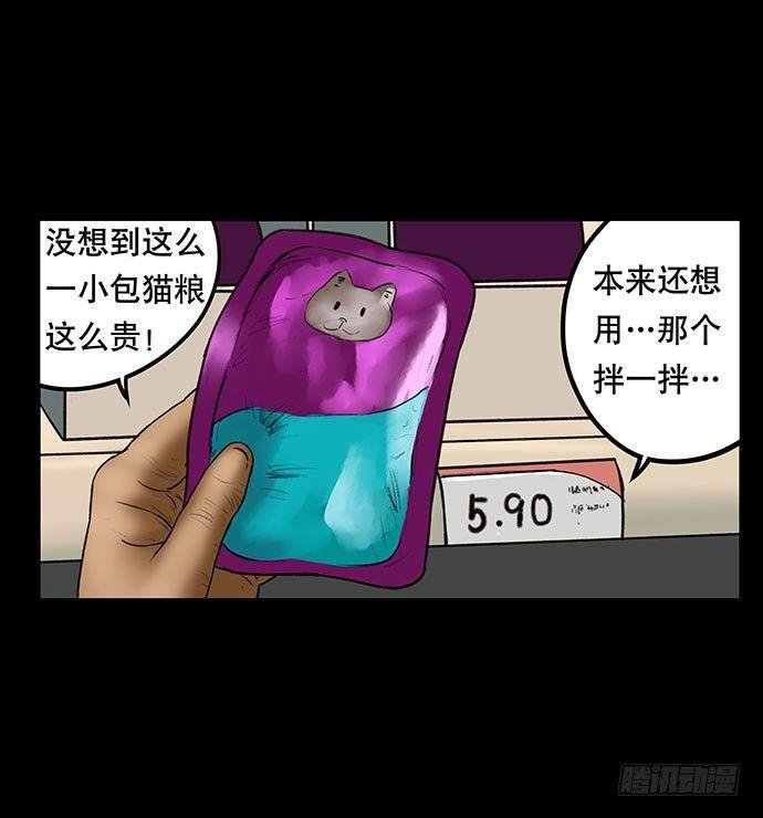 猫-3