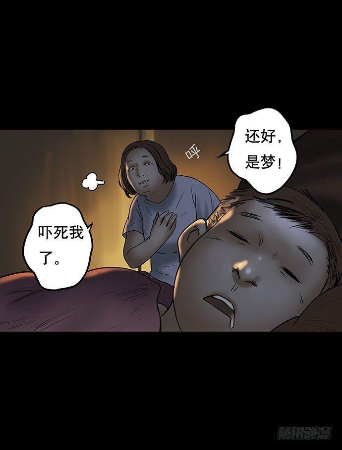 猫-4