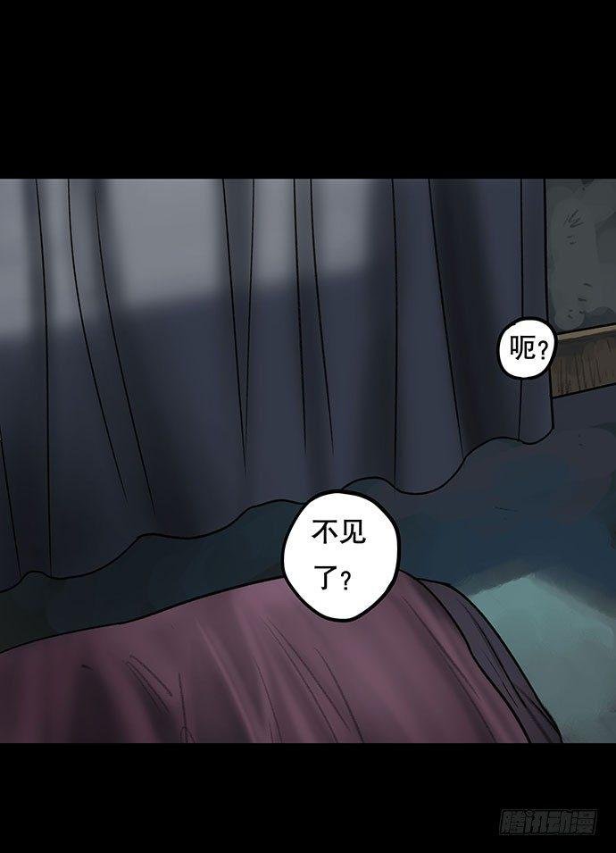 猫-4