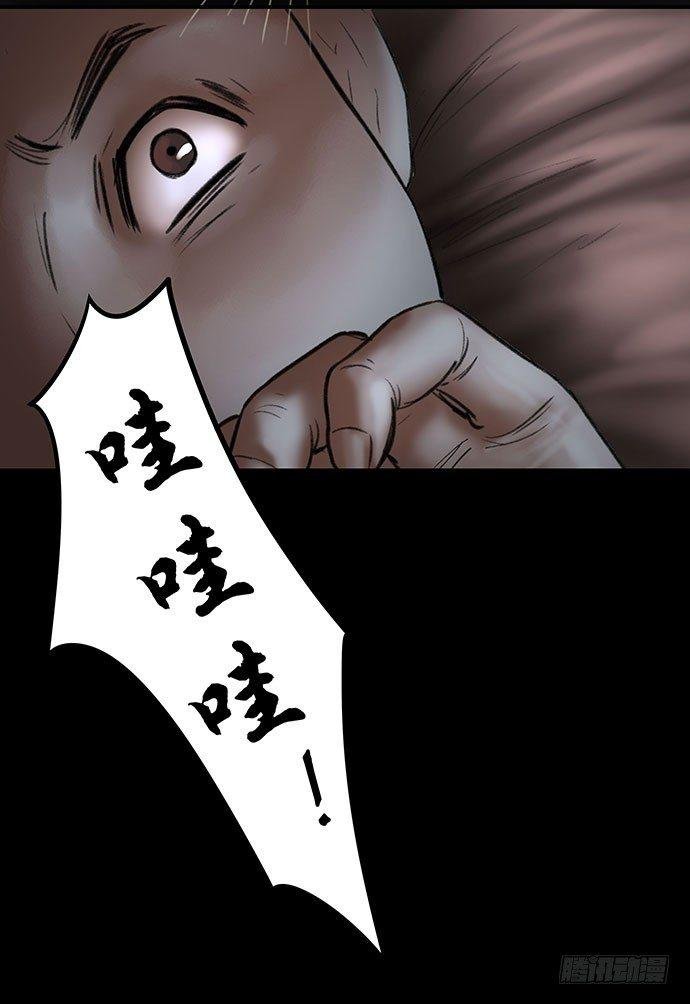 猫-4
