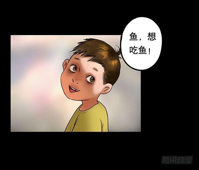 猫-4