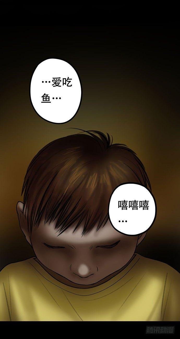 猫-4