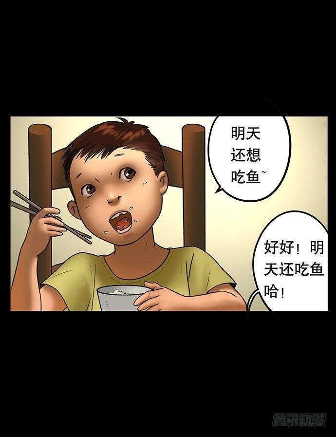 猫-4