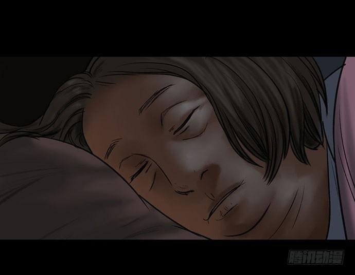 猫-4