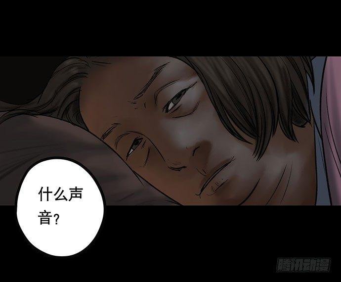 猫-4