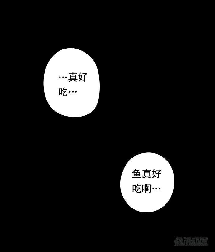 猫-4