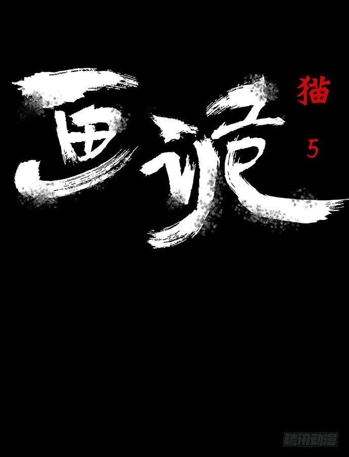 猫-5