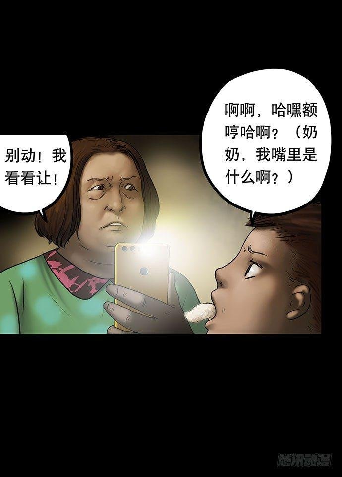 猫-5