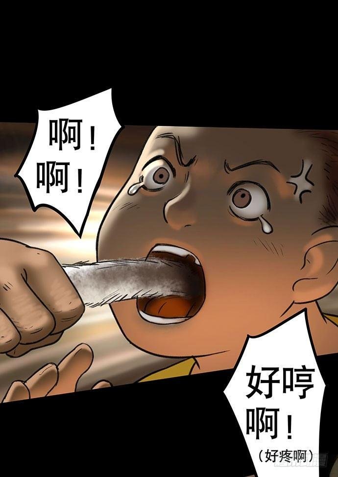 猫-5