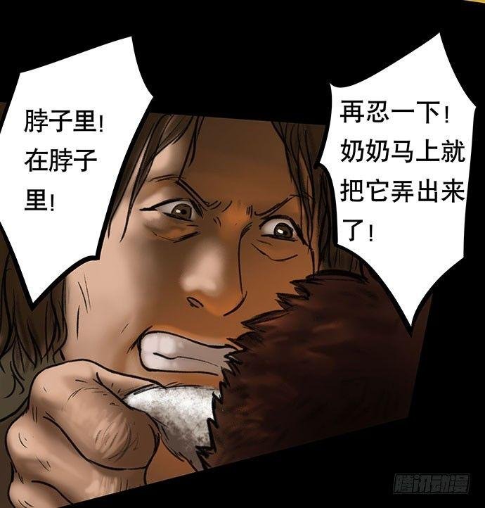猫-5