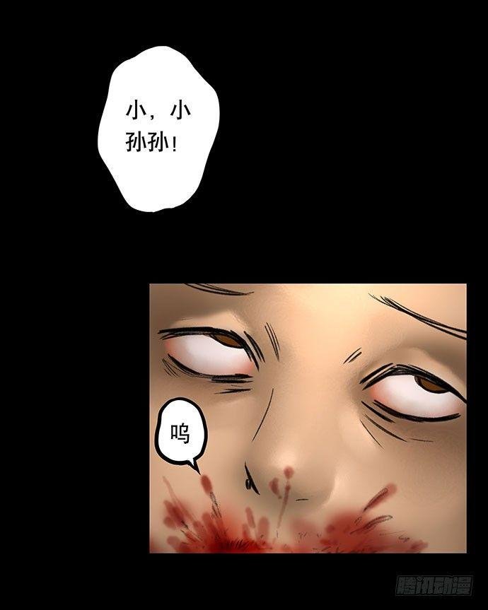 猫-5