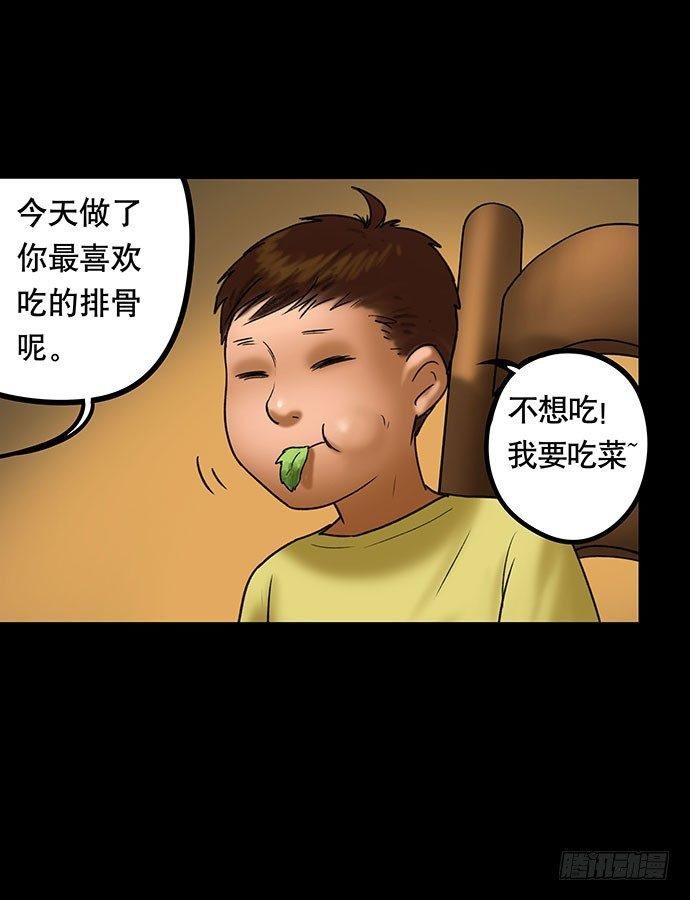 猫-5