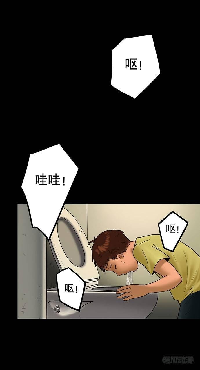 猫-5