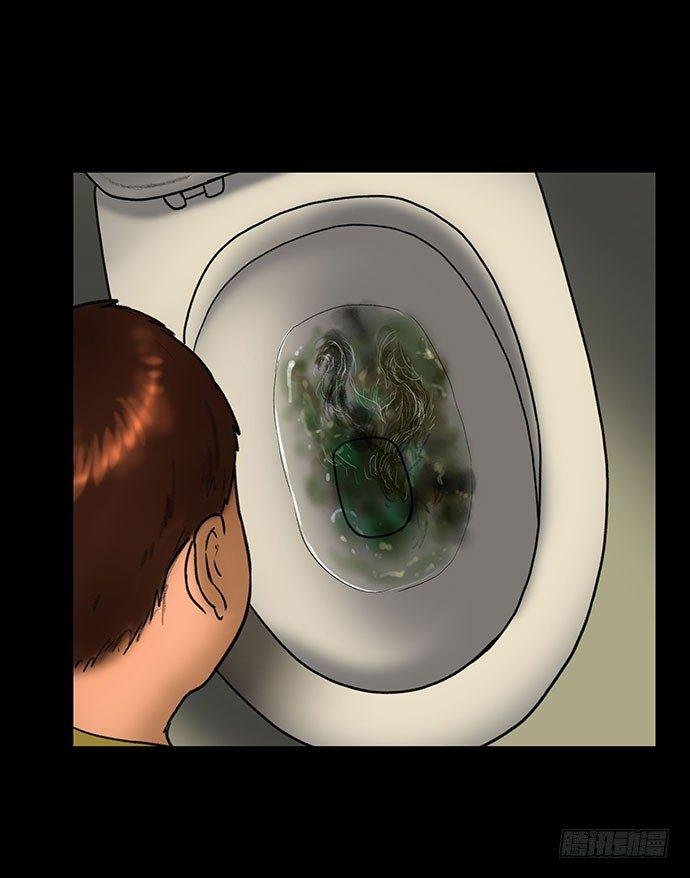 猫-5