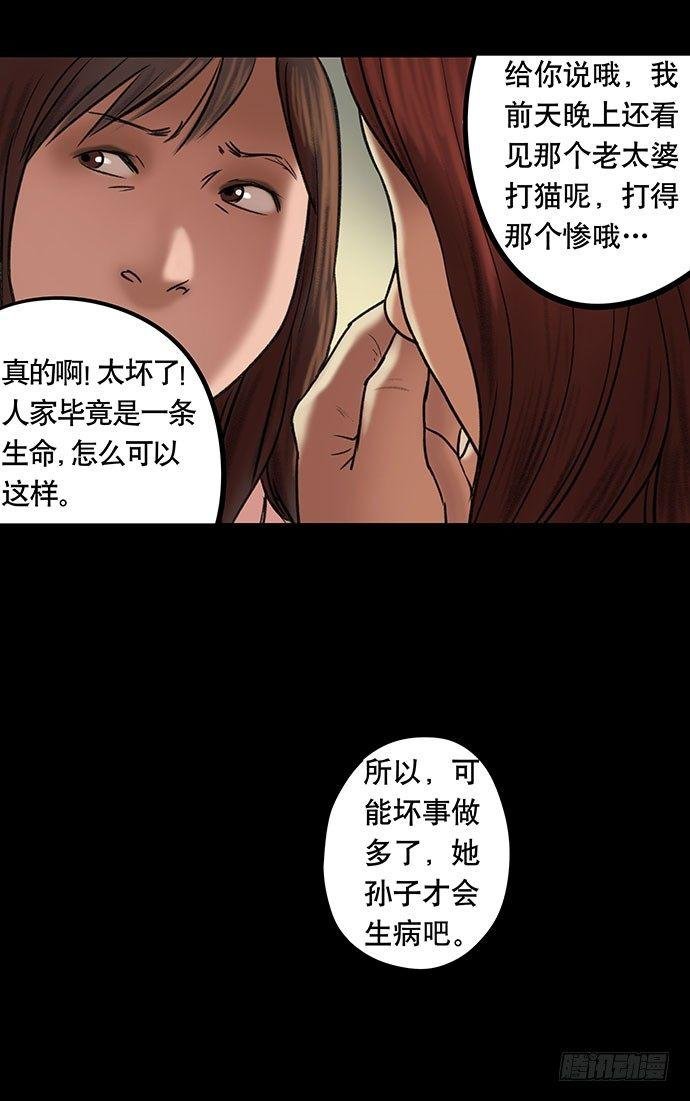 猫-5