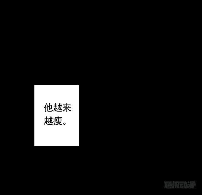 猫-5