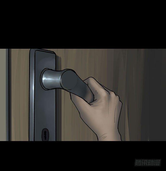 猫-5