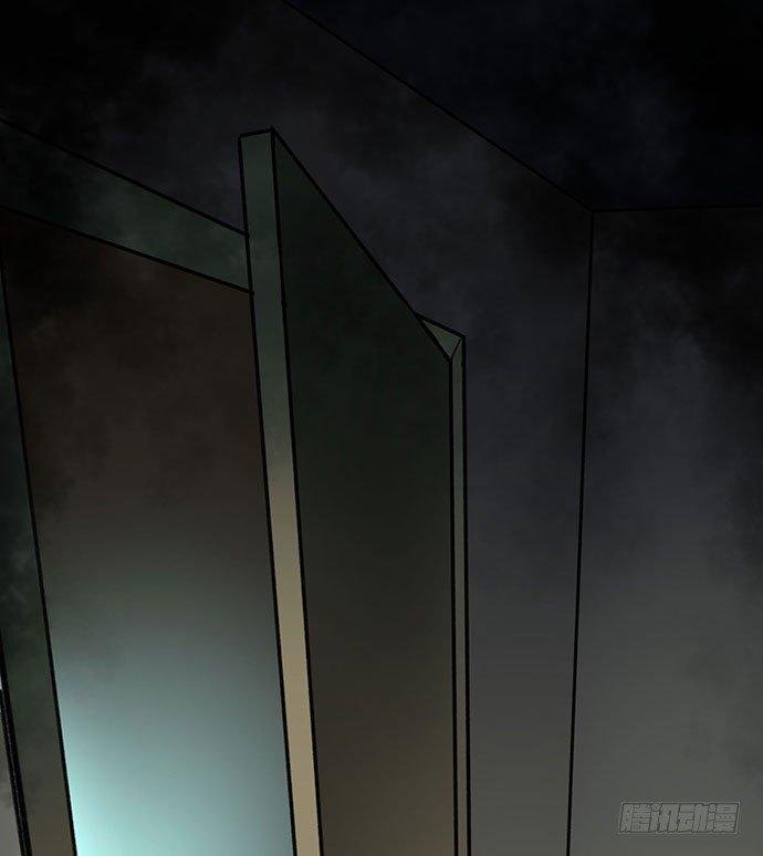 猫-5