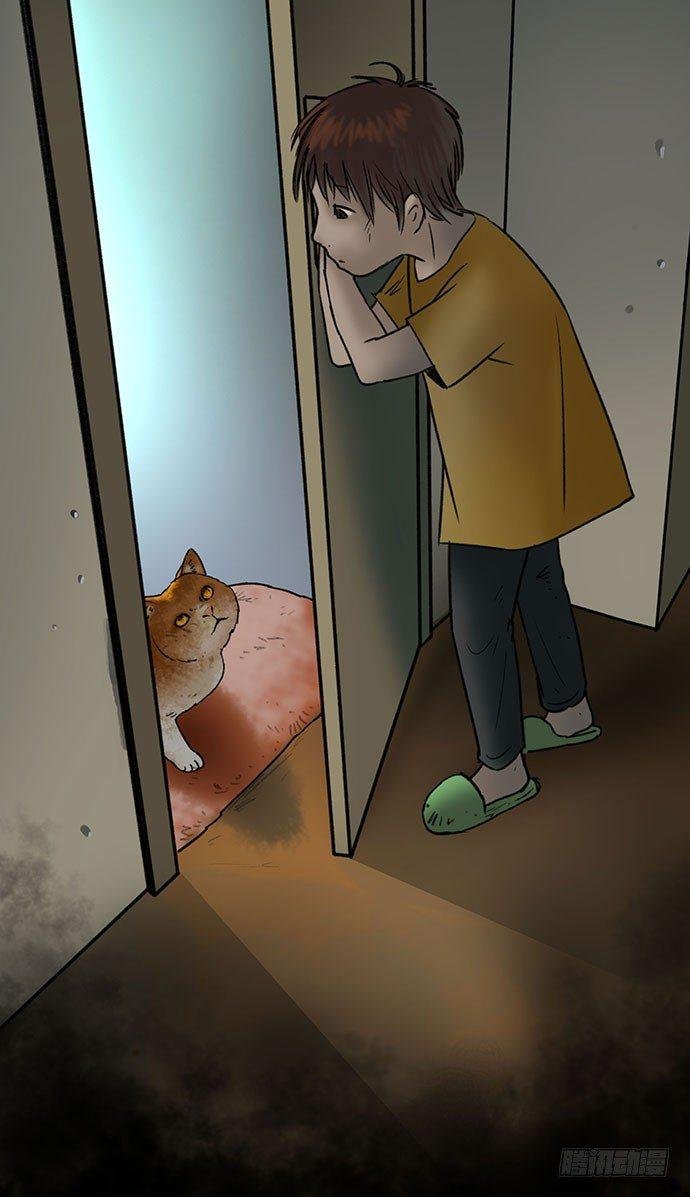 猫-5