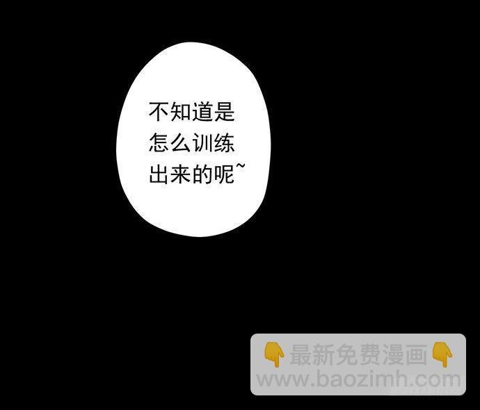 猴戏-1
