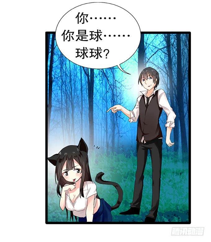 猫耳少女？