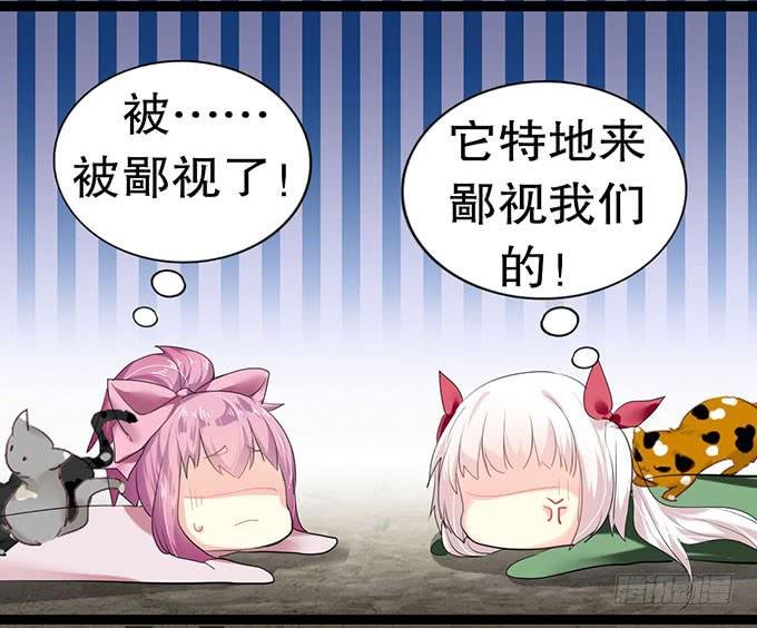 猫咪魔法