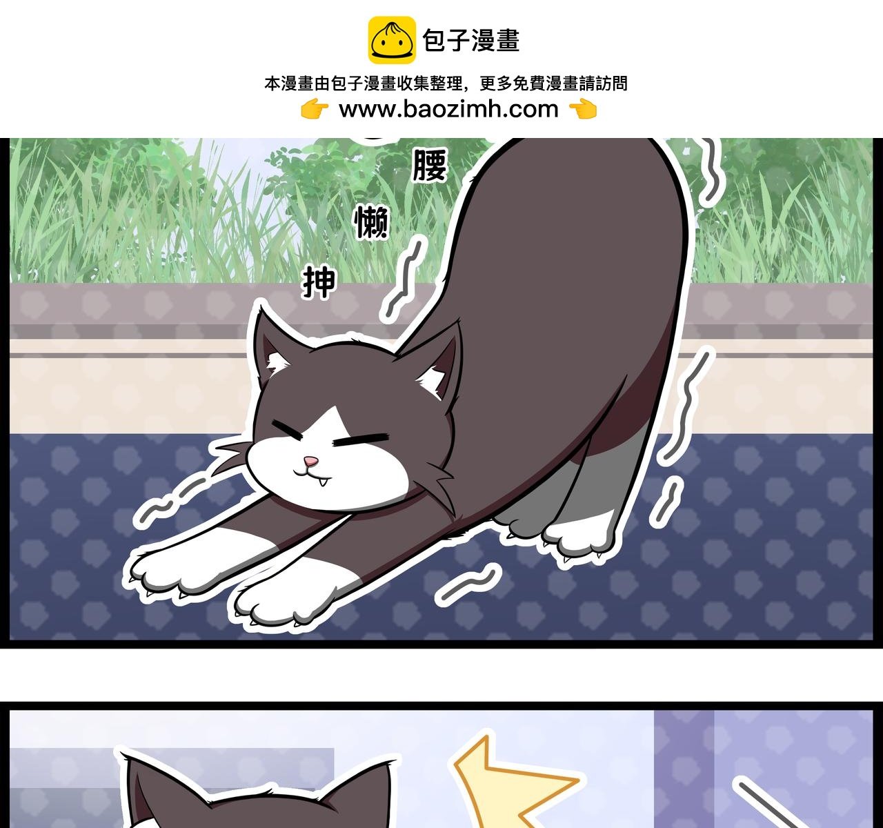 今天要来点猫咪嘛