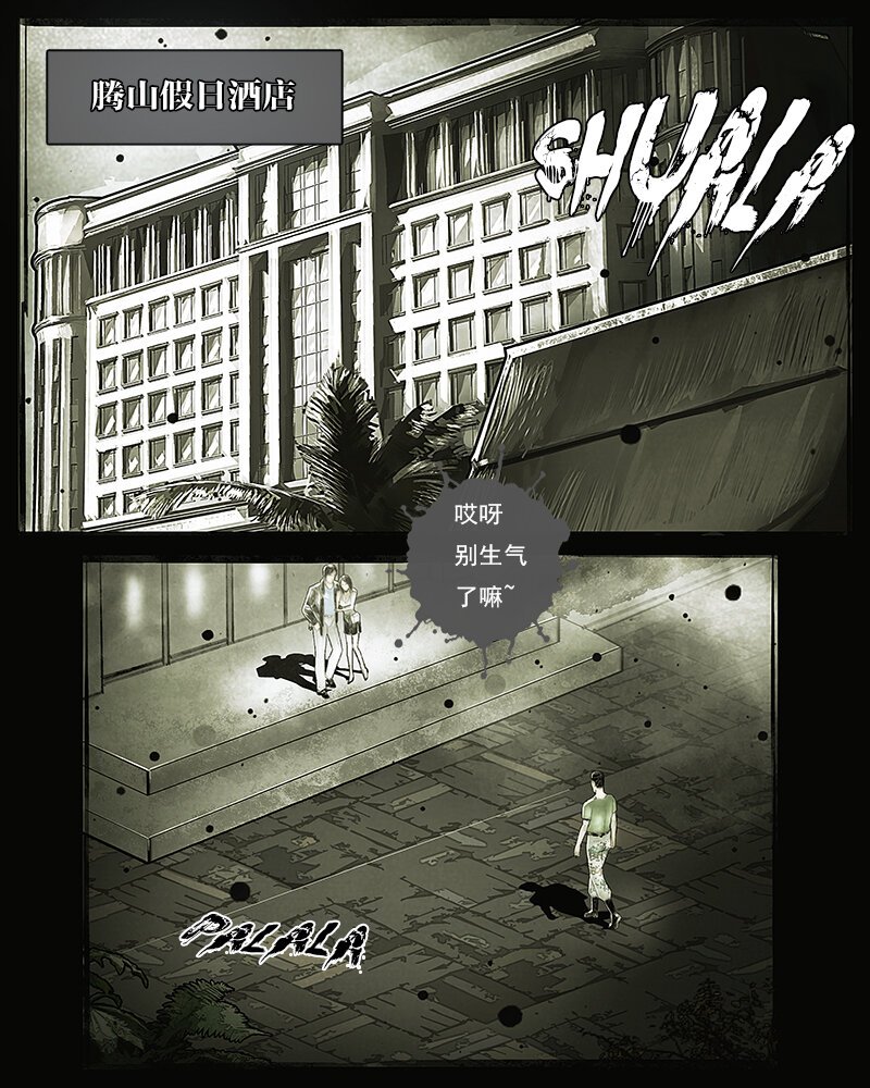 第三十章 访客2