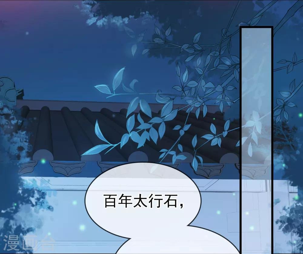 第11话 静观其变