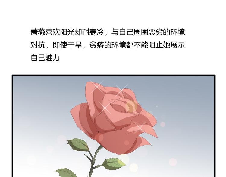 第11话 含义